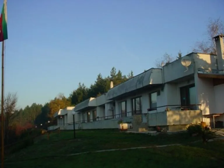 p4elina razgr