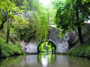 Chalons le mau